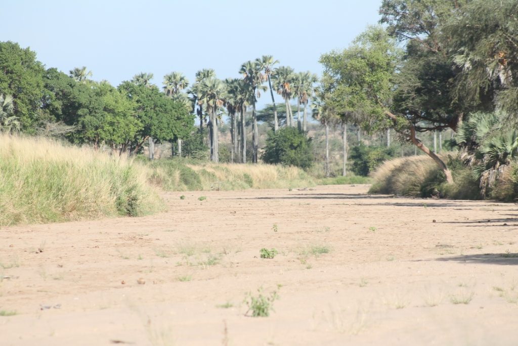 A section of Namamukweny Valley in Kidepo Valley National Park