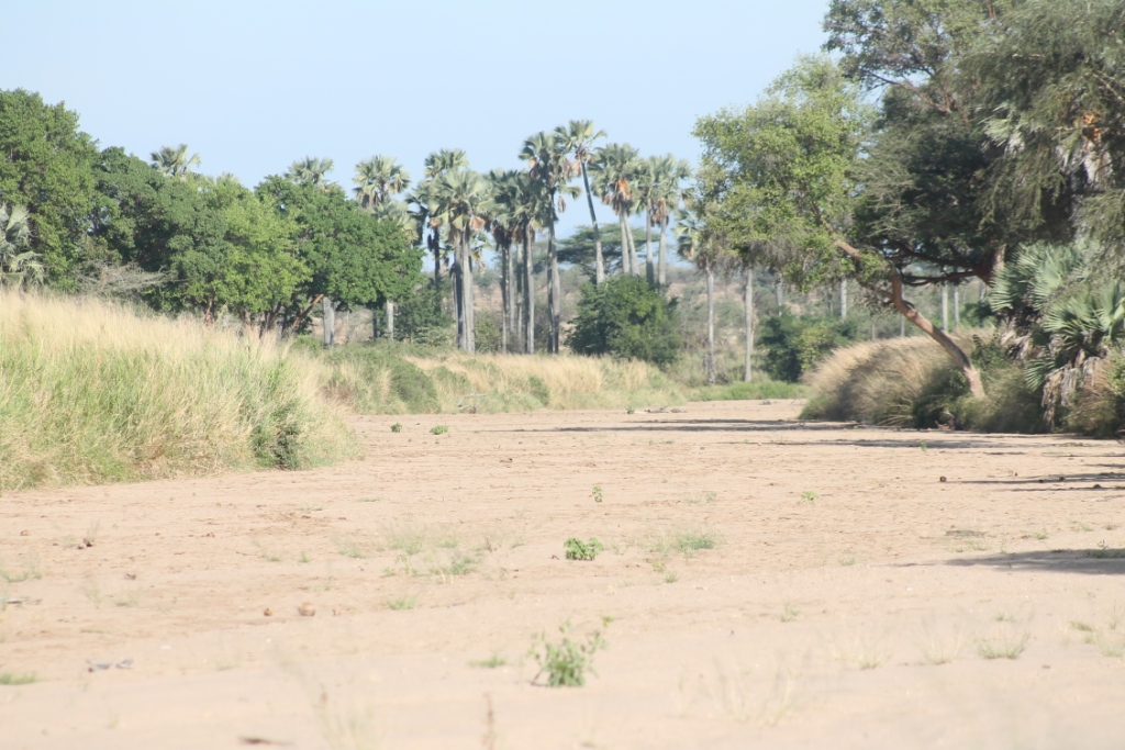 driving_to_kidepo_valley