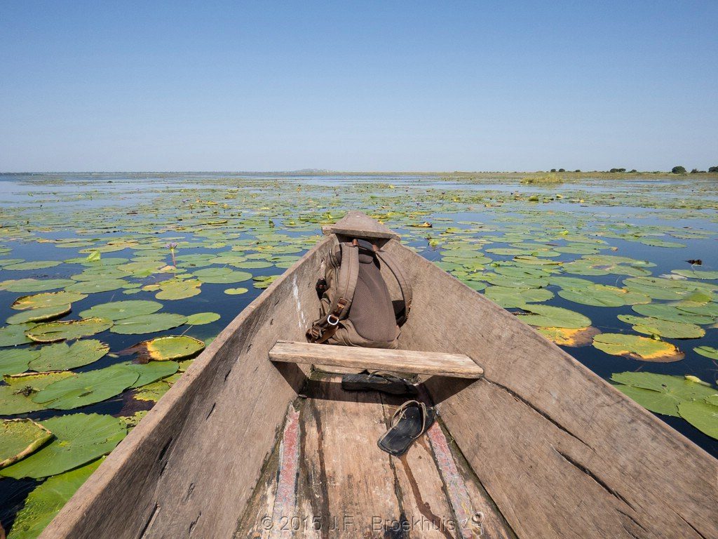 Lake Bisinia