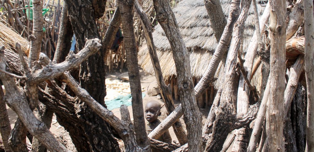 A young boy looking through the fence of a Karamojong's Manyatta